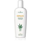 Cannaderm Capillus Caffeine shampoo Schampo Med hampolja 150ml unisex
