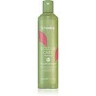 Echosline Colour Care Shampoo Skyddande schampo För färgat hår 300ml female