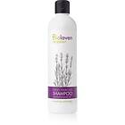Biolaven Hair Care Schampo för dagligt bruk med lavendel 300ml