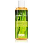 Orientana Ayurvedic Hair Shampoo Ginger & Lemongrass Uppfriskande Shampoo 210ml female