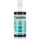Delia Cosmetics Cameleo Spray & Go Färgande hårspray 150ml
