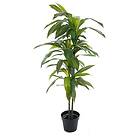 Fröken Fräken Konstväxt Dracena 7183-100