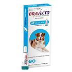 Bravecto Spot-on For Large Dogs 20-40kg