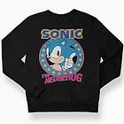 Hybris Sonic The Hedgehog sweatshirt (Jr)