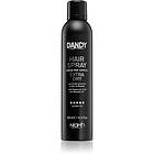 DANDY Hair Spray 300ml female