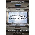 Notes from Underground (Warbler Classics Annotated Edition)