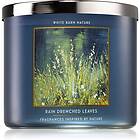 Bath & Body Works Rain Drenched Leaves doftljus 411g unisex