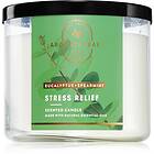 Bath & Body Works Eucalyptus Spearmint doftljus Stress Relief 411g unisex