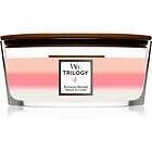 WoodWick Trilogy Blooming Orchard scented Candle 453.6g