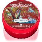 Kringle Candle Leaf Peeper värmeljus 42g