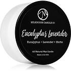 Milkhouse Candle Co. Creamery Eucalyptus Lavender doftljus Sampler Tin 42g unisex