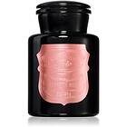 Paddywax Apothecary Noir Saffron Rose doftljus 226g unisex