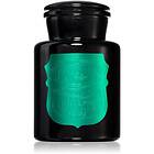 Paddywax Apothecary Noir Tabac & Pine scented Candle 226g