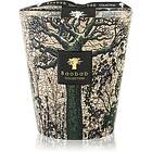 Baobab Collection Sacred Trees Kani doftljus 16 cm