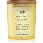 Chesapeake Bay Candle Mind & Body Strength Energy scented Candle 96g