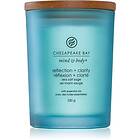 Chesapeake Bay Candle Mind & Body Reflection Clarity scented Candle 250g