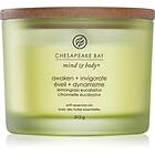 Chesapeake Bay Candle Mind & Body Awaken Invigorate doftljus I. 312g unisex