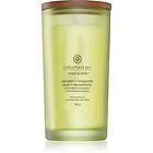 Chesapeake Bay Candle Mind & Body Awaken Invigorate doftljus 355g unisex