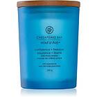 Chesapeake Bay Candle Mind & Body Confidence Freedom doftljus 250g unisex