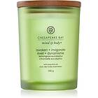 Chesapeake Bay Candle Mind & Body Awaken Invigorate doftljus 250g unisex