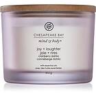 Chesapeake Bay Candle Mind & Body Joy Laughter scented Candle I. 312g