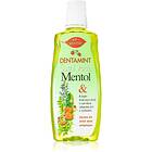 Bione Cosmetics Dentamint Menthol Munvatten 500ml