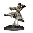 Icons of the Realms Premium Figures: Human Monk Female