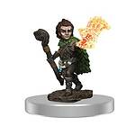 Pathfinder Battles: Premium Painted Figure Male Gnome Druid