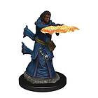 Icons of the Realms Premium Figures: Human Wizard Female