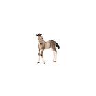 Schleich Horse Club Andalusiskt föl Action-figur