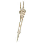 Panduro Hobby Skelettdel arm fredstecken
