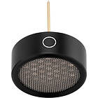 Warm Audio WA84-OCAP-B