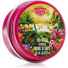 Institut Karité Paris Pure Shea Butter 100% Jungle Paradise Collector Edition Sh