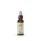 Bach s Blomsterterapi Järnek (Holly) 10ml H706824