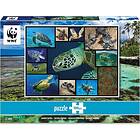 WWF Puzzle: Marine Turtles (1000)