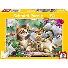 Schmidt : Playful Kittens (150)