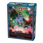 Cobble Hill : Aquarius (500)