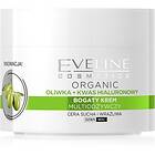 Eveline Cosmetics Green Olive Dag och nattcream mot rynkor Med olivextrakt 50ml