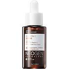 Neogen Dermalogy Real Vita C Serum Intensiv vitaminserum 32g female