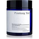 Pyunkang Yul Moisture Cream Fuktgivande kräm för ansikte 100ml female