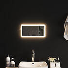 vidaXL Kylpyhuoneen peili LED 20x40 cm 3154073