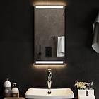 vidaXLMiroir de salle de bain LED 30x60 cm 3154060