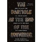 Sean Carroll: The Particle at the End of Universe: How Hunt for Higgs Boson Leads Us to Edge a New World