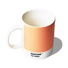 Pantone Mug 2024. Peach Fuzz 13-1023