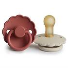 Daisy FRIGG Latex Strl 2 Baked Clay/Cream 2-pack