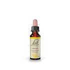 Bach s Blomsterterapi Cerato 10ml H70688