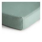 Mushie Babylakan Roman Green
