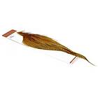 Whiting Pro Grade 1/2 Cape Barred Dark Ginger