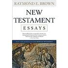 Raymond E Brown: New Testament Essays