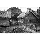 Charlotta Medin: Kvek
